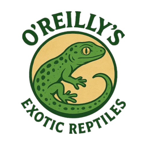 Oreillys Exotic Reptiles